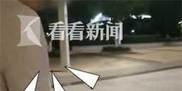 遛狗不拴绳爆料视频,视频曝光引发社会热议